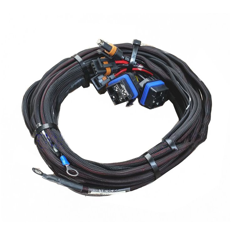 Dirt Bike Wiring Harness